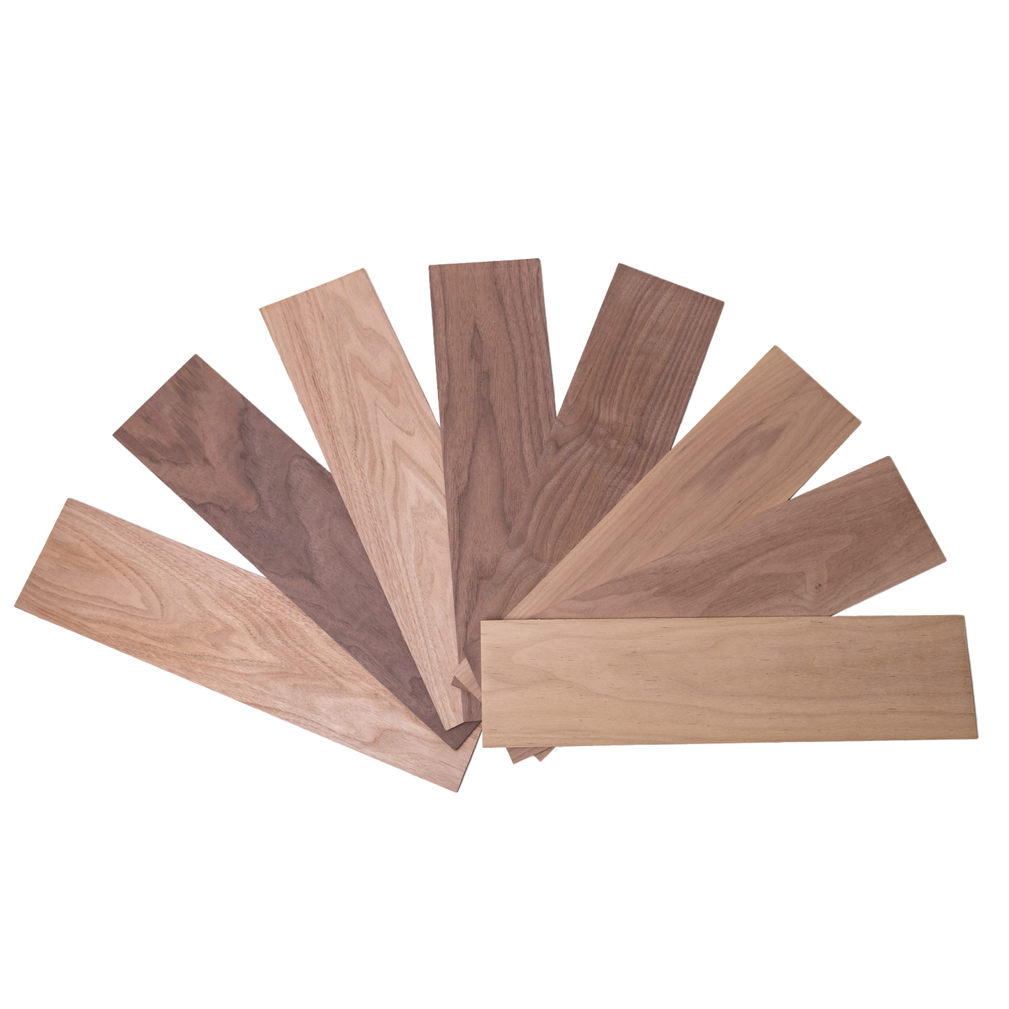 Warped Walnut Thin-Sawn Craft Board (10pc)